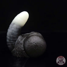 Load image into Gallery viewer, Snow Balls Packer 00-20 Black Ice