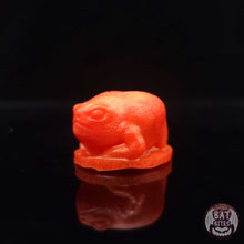 Load image into Gallery viewer, Rain Frog Squish - Teeny Size - Super Soft