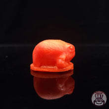 Load image into Gallery viewer, Rain Frog Squish - Teeny Size - Super Soft