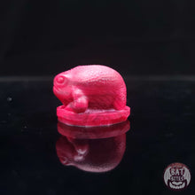 Load image into Gallery viewer, Rain Frog Squish - Teeny Size - Soft