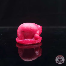 Load image into Gallery viewer, Rain Frog Squish - Teeny Size - Soft