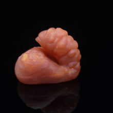 Load image into Gallery viewer, Grub Packer Small 00-20 Opulent Magma