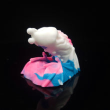 Load image into Gallery viewer, Diadem Packer Small 00-20 Trans Pride