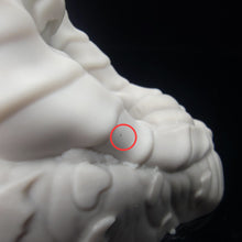 Load image into Gallery viewer, FLOP Hydor Small 00-30