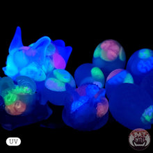 Load image into Gallery viewer, Xenovum Clutch Small 00-31 Candy Eggs UV GITD
