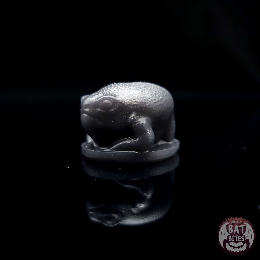 Rain Frog Squish - Teeny Size - Super Soft