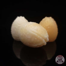 Load image into Gallery viewer, Xenovum Clutch Medium 00-20 Feathered Host
