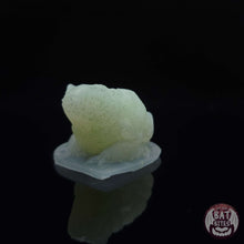 Load image into Gallery viewer, Toad Squishy - Teeny Size - Medium Firmness

