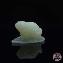 Load image into Gallery viewer, Toad Squishy - Teeny Size - Medium Firmness
