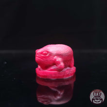 Load image into Gallery viewer, Rain Frog Squish - Teeny Size - Soft
