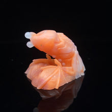 Load image into Gallery viewer, Diadem Packer Small 00-20 Opulent Magma
