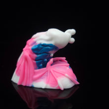 Load image into Gallery viewer, Diadem Packer Small 00-20 Trans Pride
