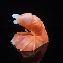 Load image into Gallery viewer, Diadem Packer Medium 00-20 Opulent Magma
