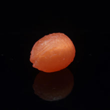 Load image into Gallery viewer, Xenovum Single Small 00-31 Salmon Roe
