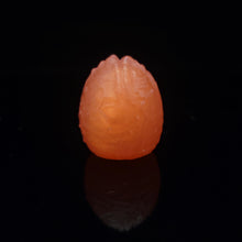 Load image into Gallery viewer, Xenovum Single Small 00-31 Salmon Roe
