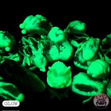 Load image into Gallery viewer, Diadem Packer Large 00-20 Alien Candy UV GITD
